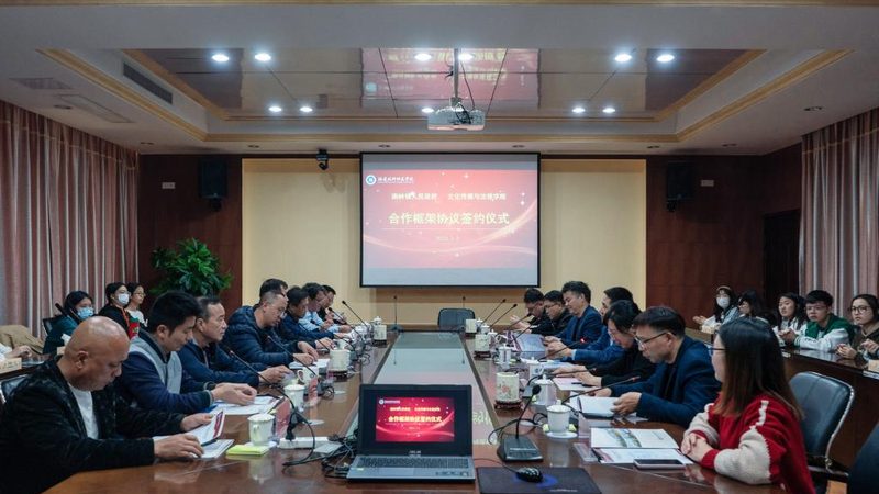 视频制作合同法律风险规避：关键点与案例分析